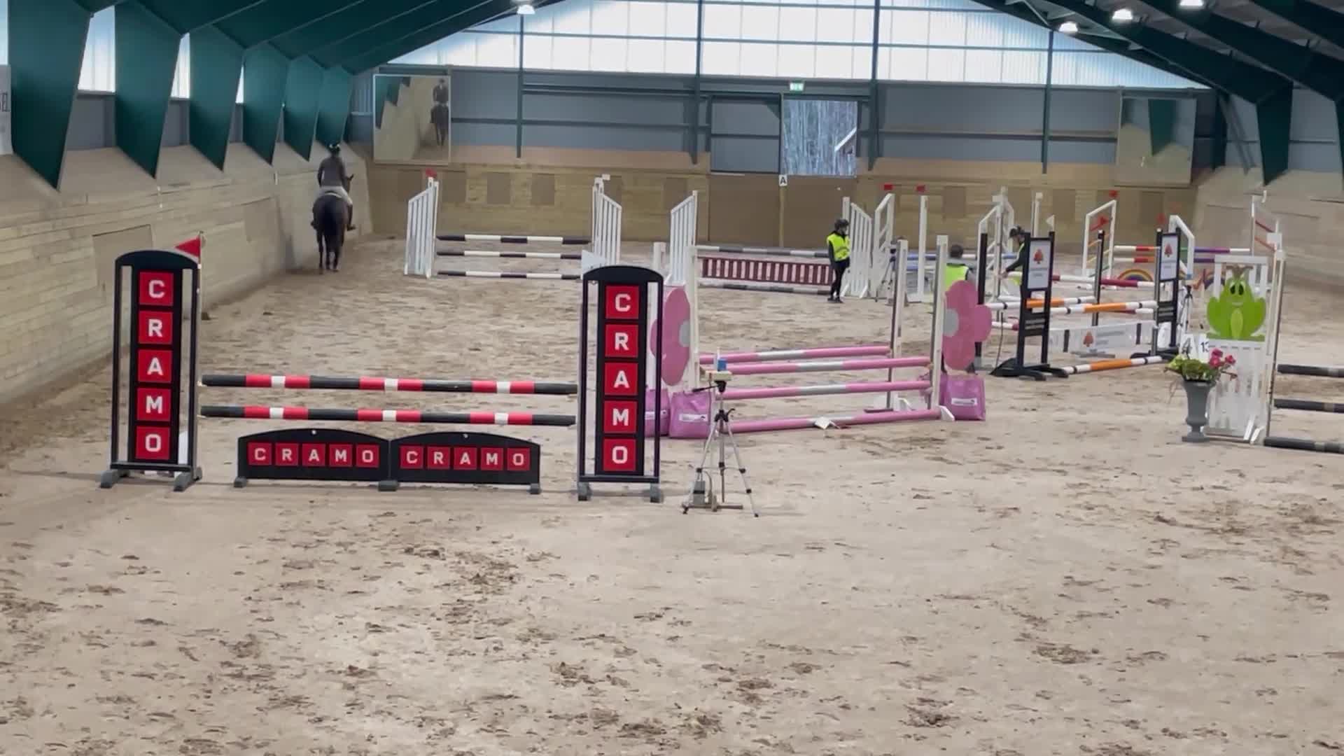 Allround hästar till salu: Pigg och trevligt allround sto - Video 1