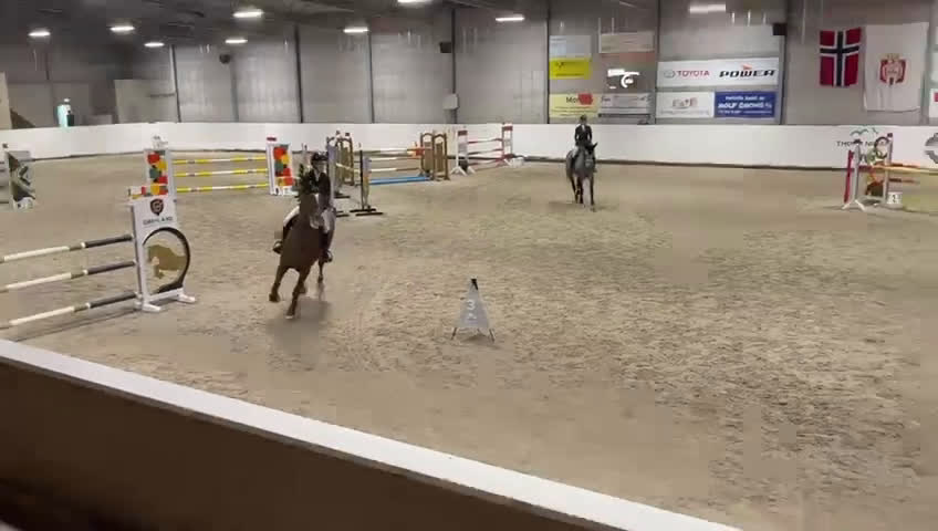 Hoppning hästar till salu: Fantastisk spranghest i Vesterøy - Video 2