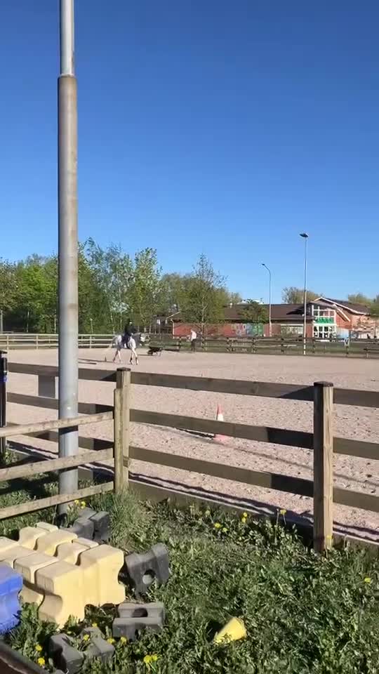  medryttarhäst sökes: Medryttar häst nära Revinge sökes i Löberöd - Video 1