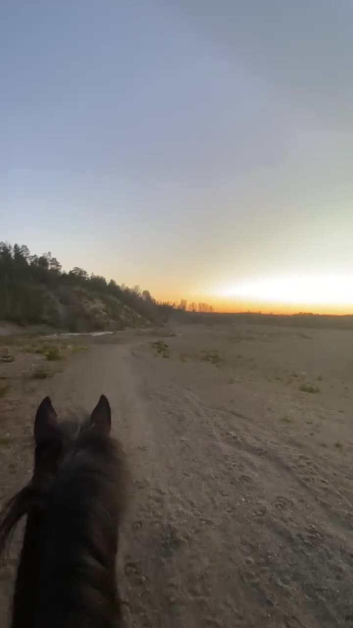 Allround hästar till salu: Fint sto säljes!  i Sorunda - Video 2