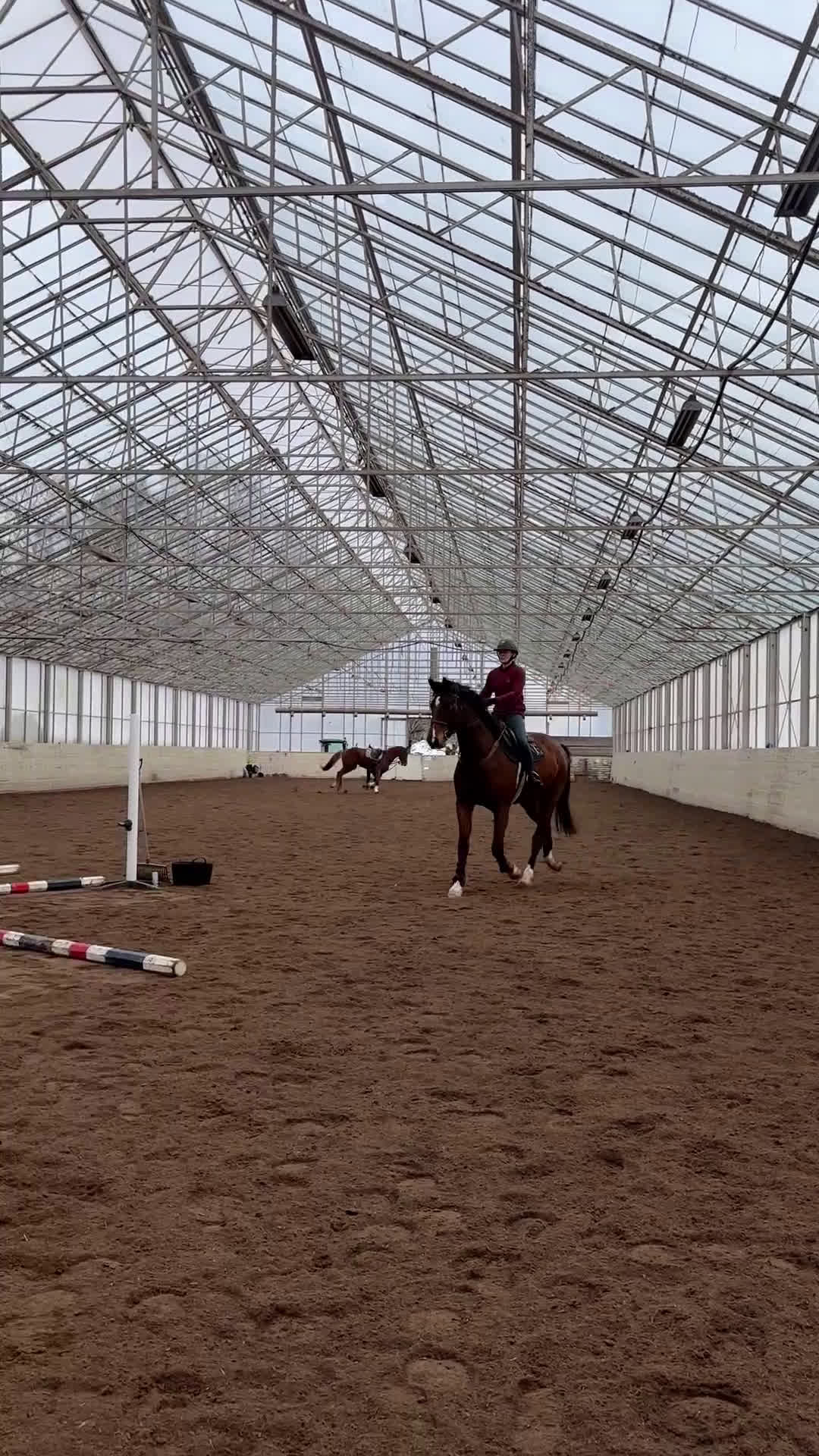 Hoppning hästar till salu: Fint sto till salu!  - Video 2