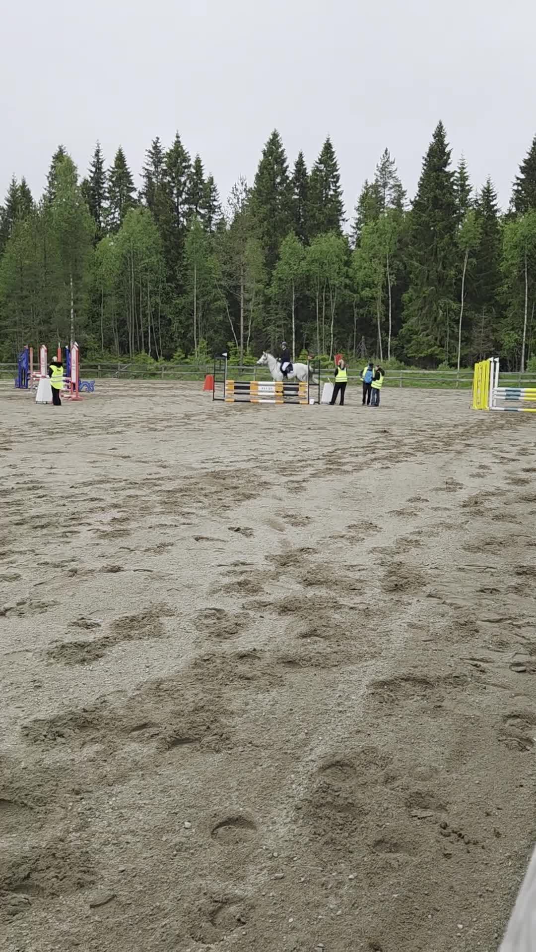Hoppning hästar till salu: Supersnygg Connemaraponny-Sänkt pris!  - Video 1