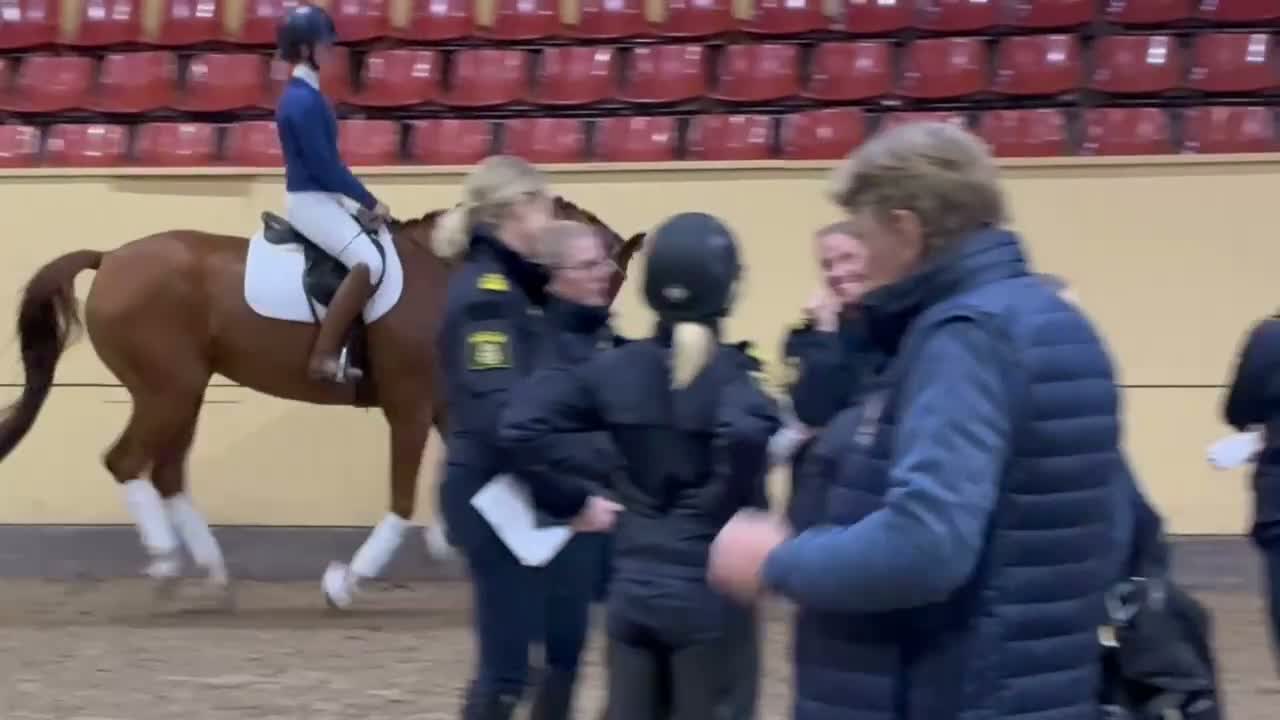 Dressyr hästar till salu: Häst med unikt temperament  i Flyinge - Video 1