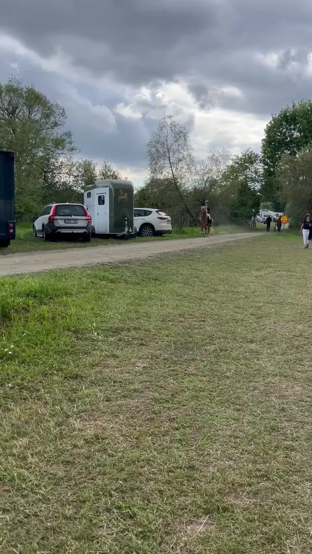 Island hästar till salu: Fantastiskt tölt sto - Video 2