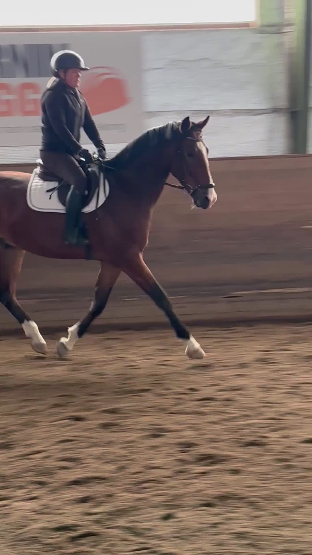 Dressyr hästar till salu: Dressyrhäst för framtiden  i Mariefred - Video 3