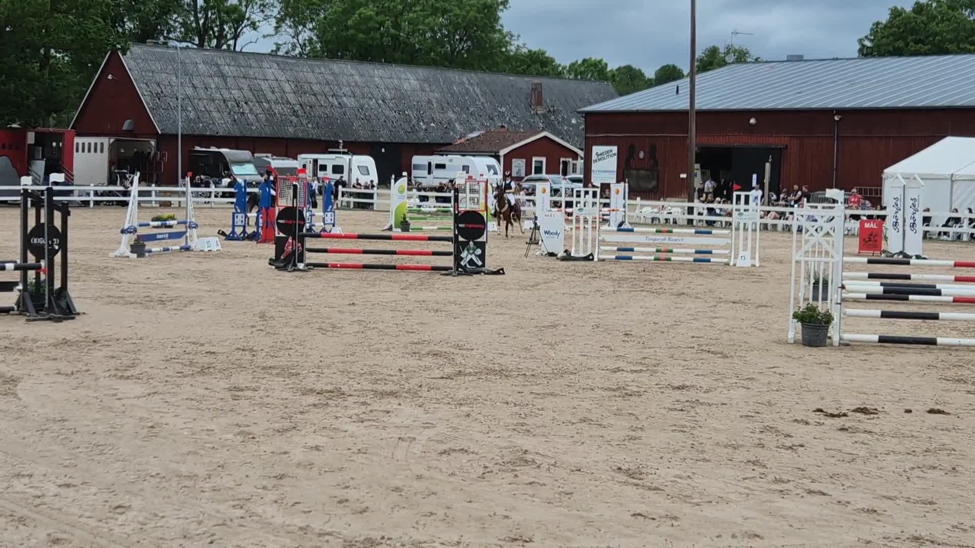 Hoppning hästar till salu: Hopp ponny med power - Video 1