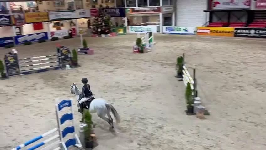 Hoppning hästar till salu: Flertal hästar och ponnier tillsalu  i Ödsmål - Video 1