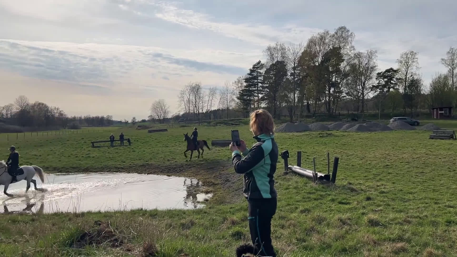 Hoppning hästar till salu: Mycket fin valack!  - Video 4