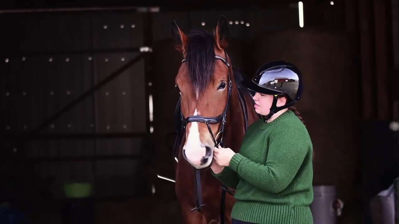 Allround hästar till salu: Ståtlig valack med rolig personlighet i Bollstabruk - Video 1