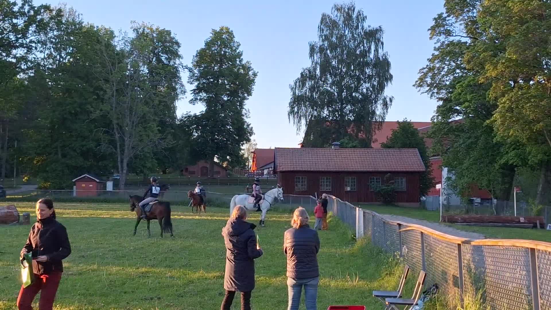 Allround hästar till salu: Maxad C-ponny - Video 3