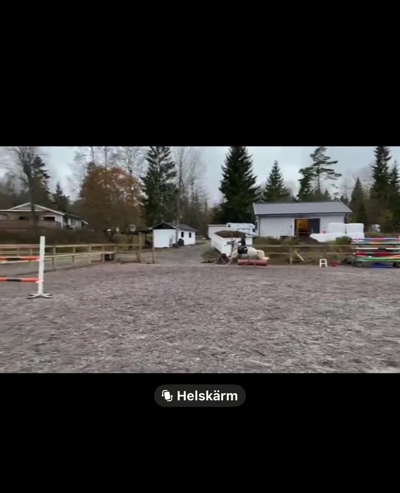 Dressyr hästar till salu: Superfin C ponny  - Video 2