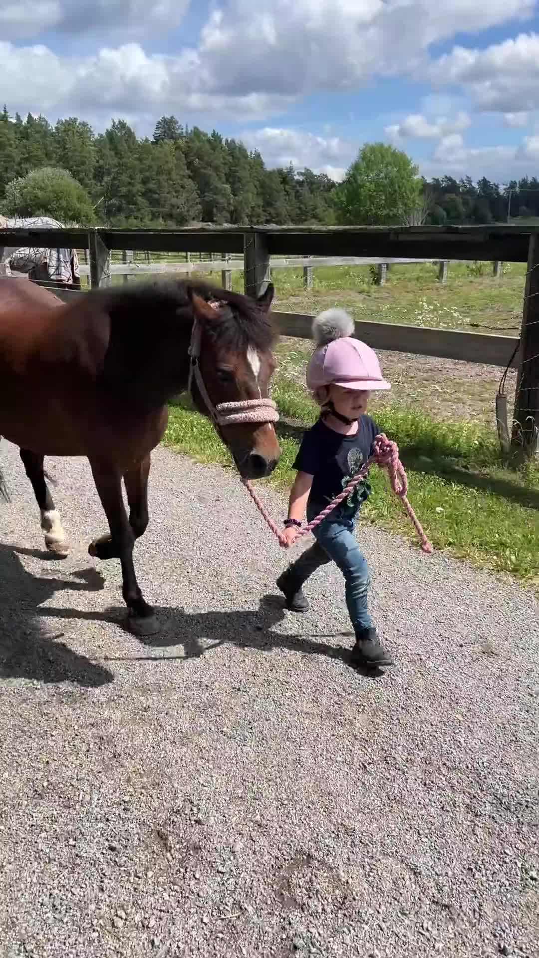 Övrigt hästar till salu: Sötaste B-ponny flickan till salu.  - Video 4