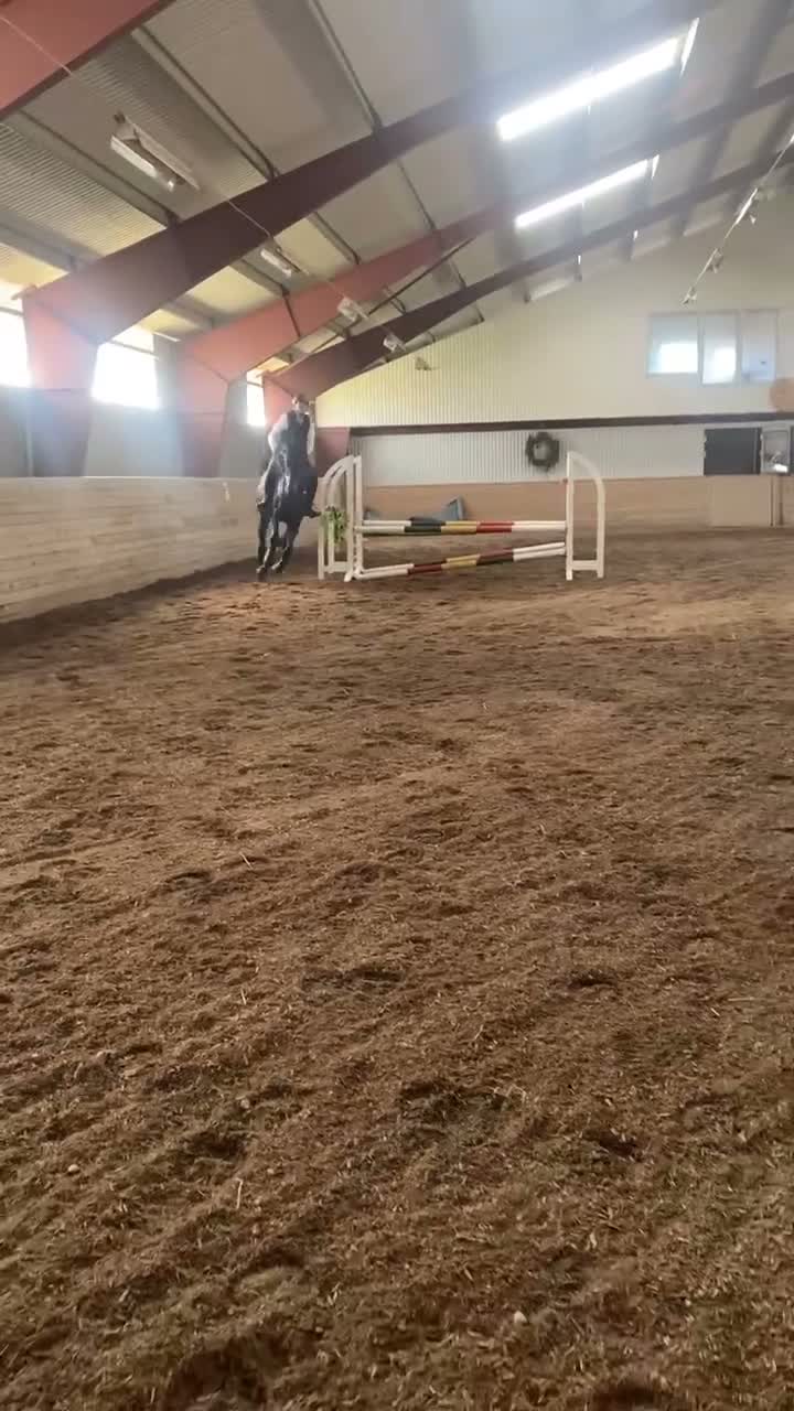 Fälttävlan hästar till salu: Positiv 4 åring.  - Video 1