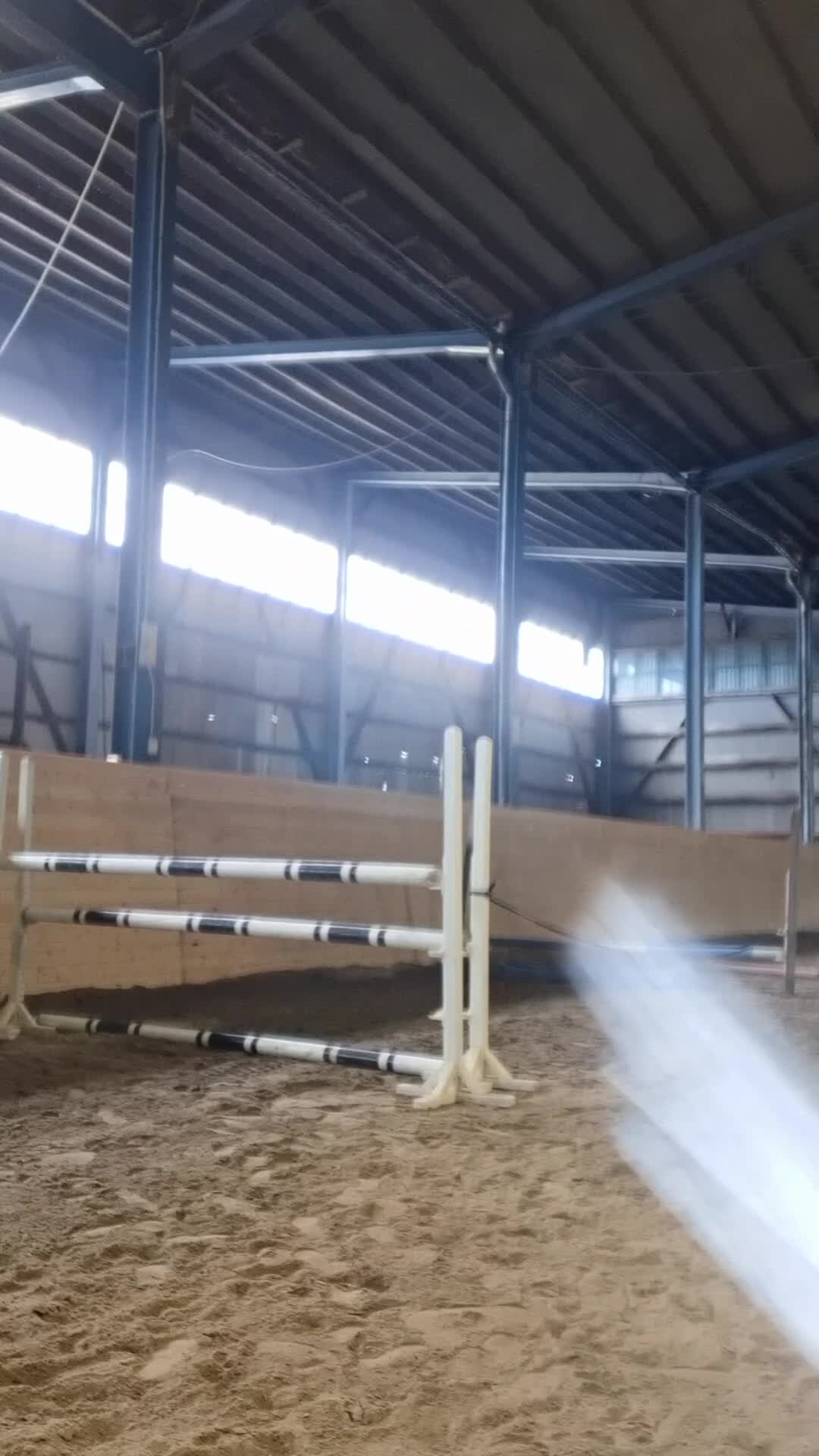 Allround hästar till salu: *RESERVERAD* Rosettplockare och bästa vän🥇 - Video 5