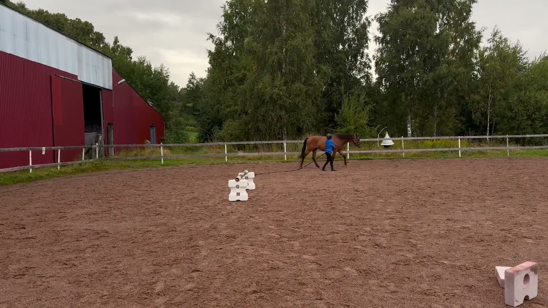 Allround hästar till salu: Fälttävlans ämne! - Video 1