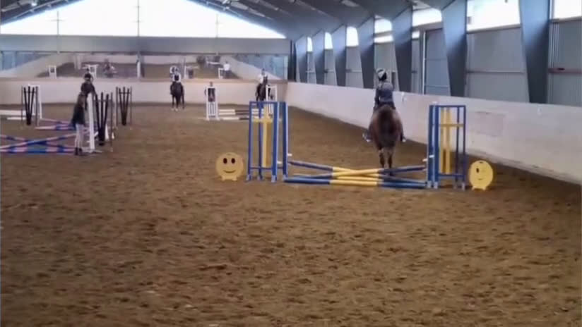 Allround hästar till salu: Glad kille med energi  i Kungälv - Video 2