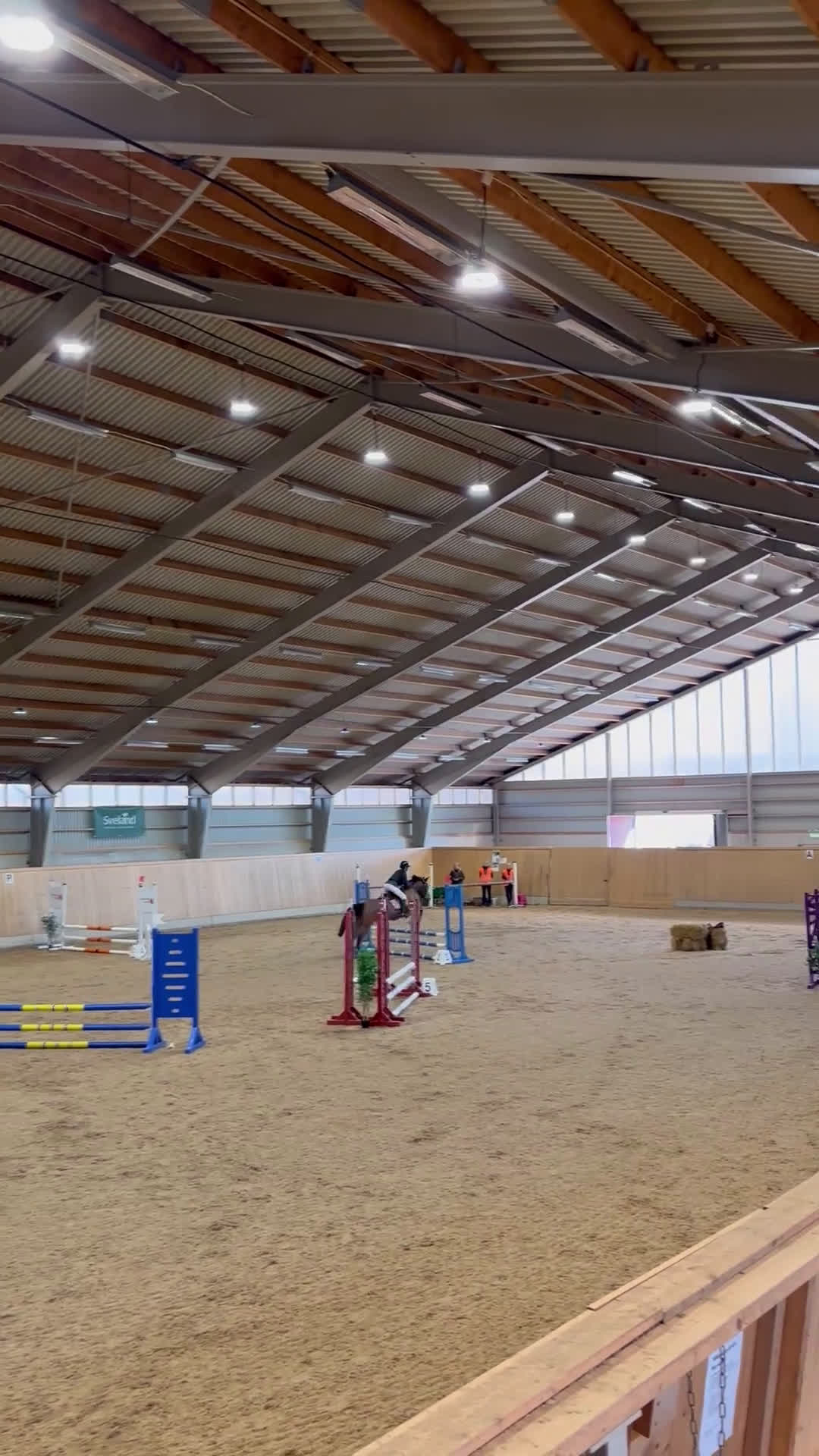 Hoppning hästar till salu: Läromästare  - Video 5