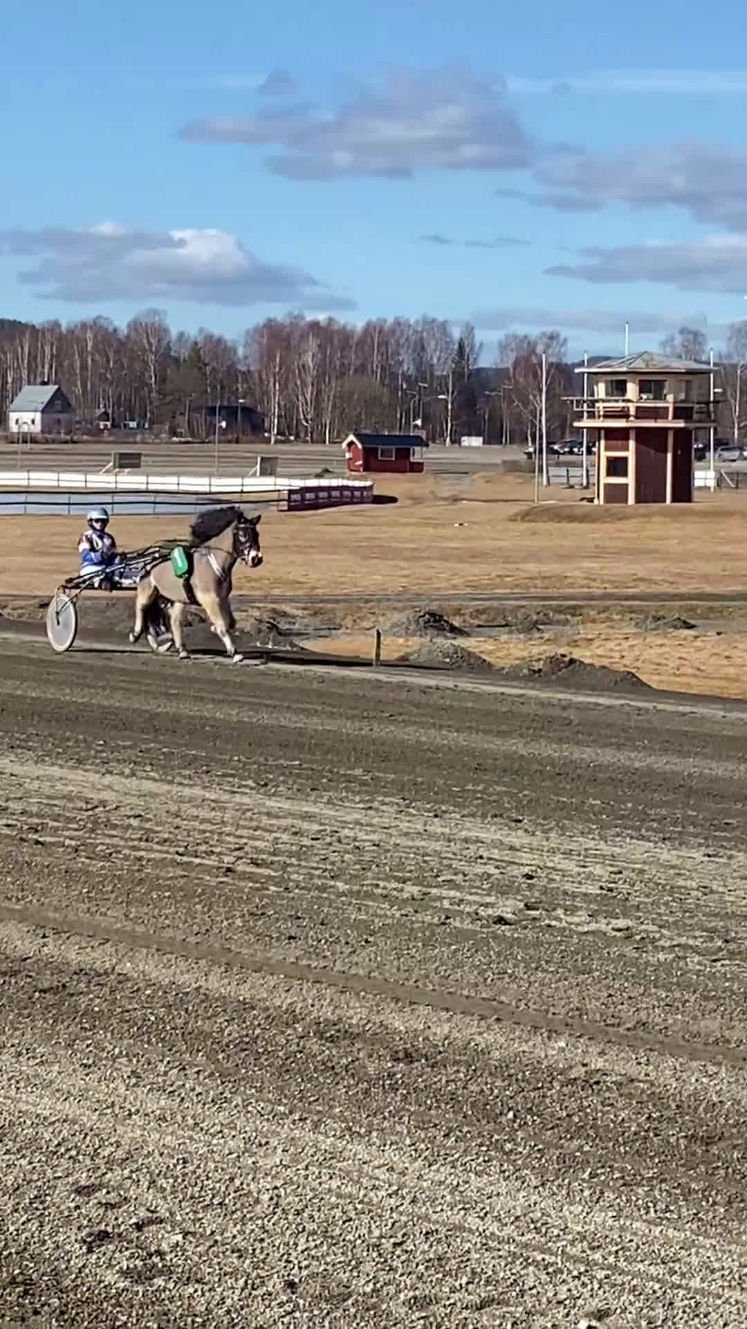 Trav hästar till salu: Social ponnytravare  i Domsjö - Video 1