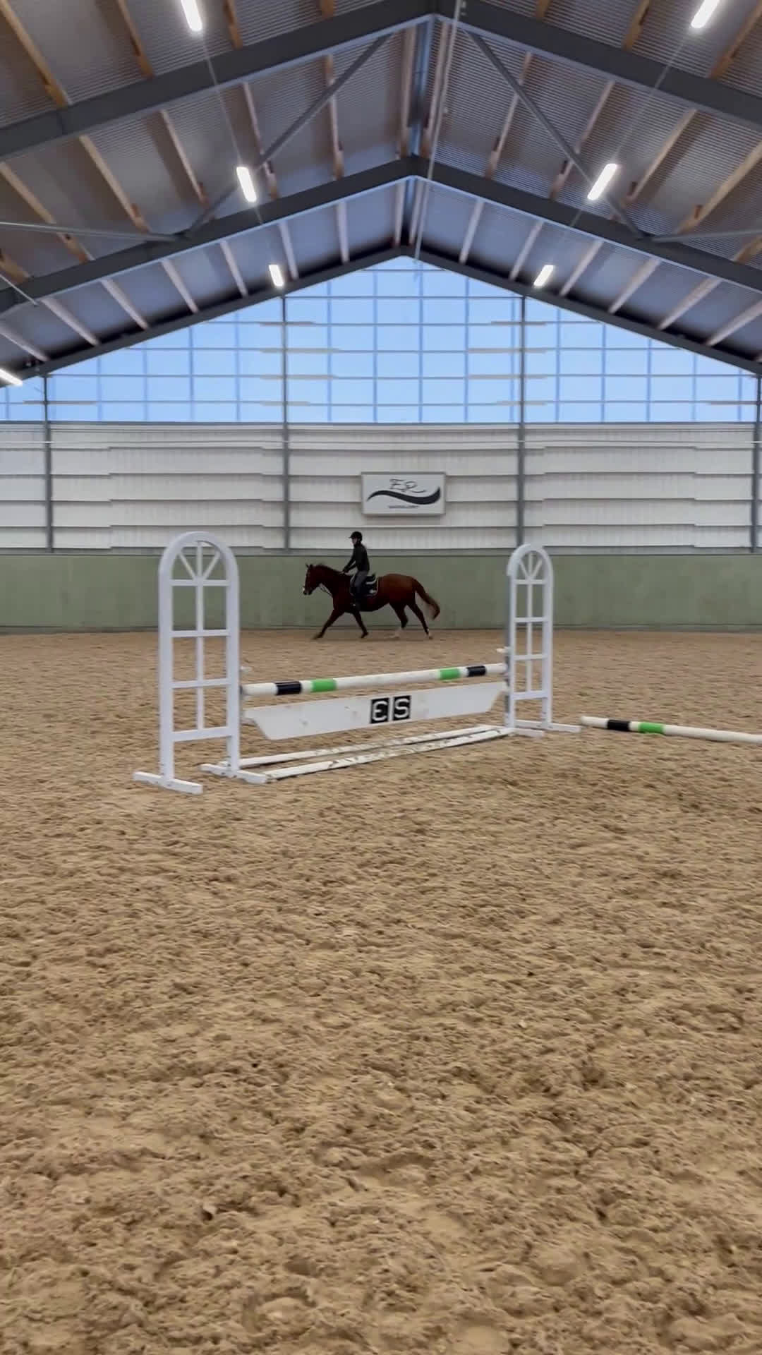 Allround hästar till salu: Trevlig och personlig valack - Video 1