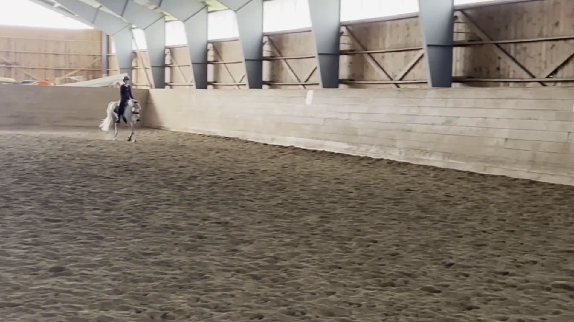 Dressyr hästar till salu: Välutbildad B-ponny för satsande dressyrryttare  i Ösmo - Video 1