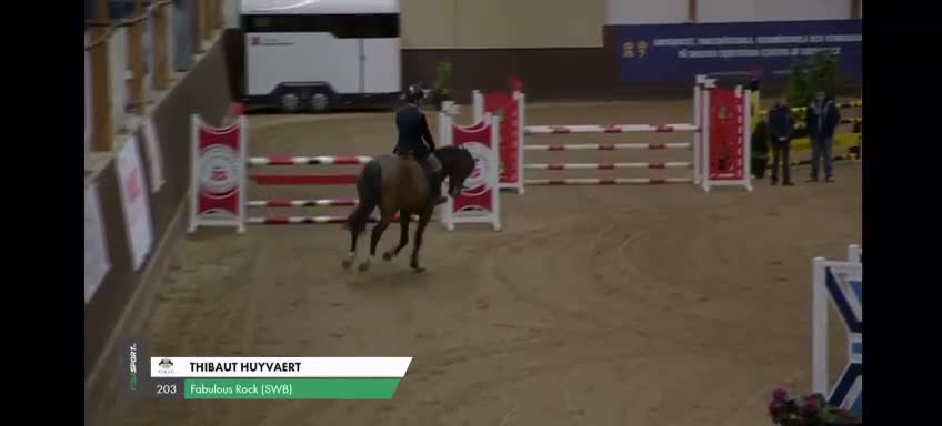 Hoppning hästar till salu: 6-årig hopphäst med kapacitet för framtiden i Västerljung - Video 1