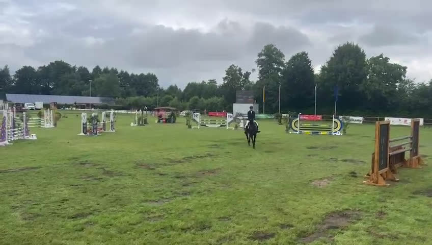 Hoppning hästar till salu: Trevlig 6 åring  i Allerum - Video 2