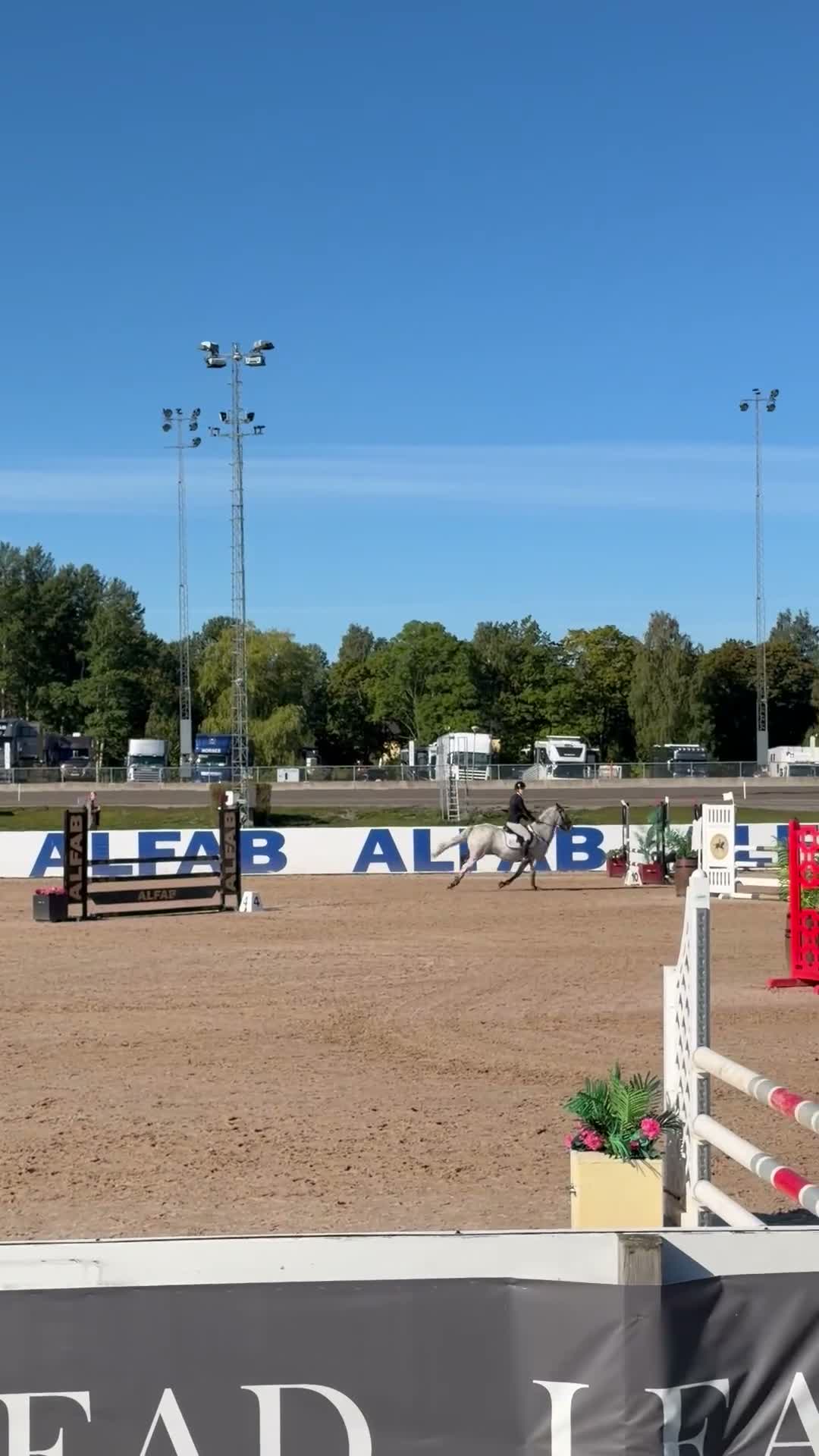 Hoppning hästar till salu: Ponny med största hjärtat säljes - Video 1
