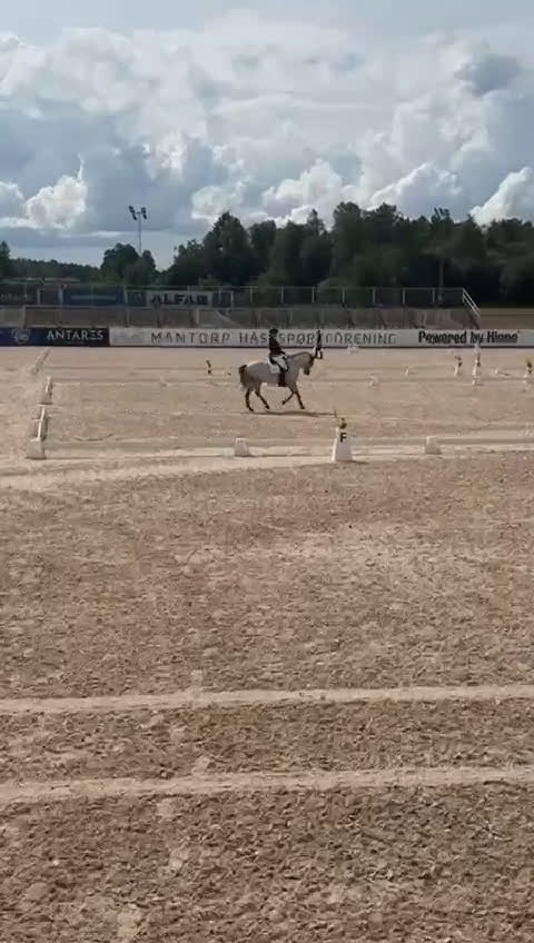 Dressyr hästar till salu: Dressyrponny i Linghem - Video 2