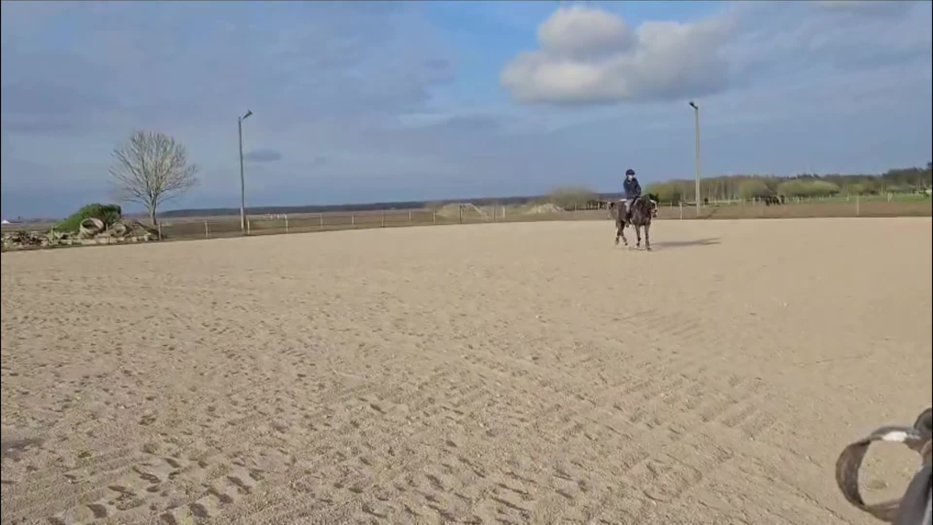 Allround hästar till salu: Sto med sammetblick - Video 1