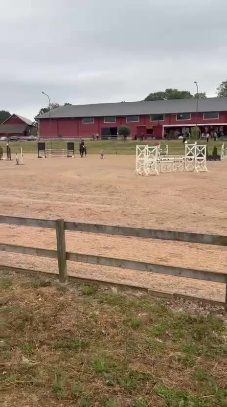 Hoppning hästar till salu: Lovande D-ponny med hjärta och potential 🌟❤️  - Video 1