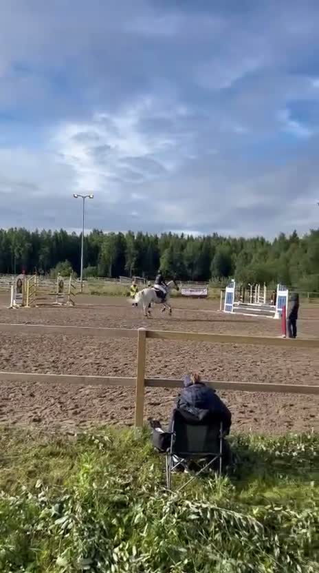 Allround hästar till salu: Snäll läromästare - Video 1