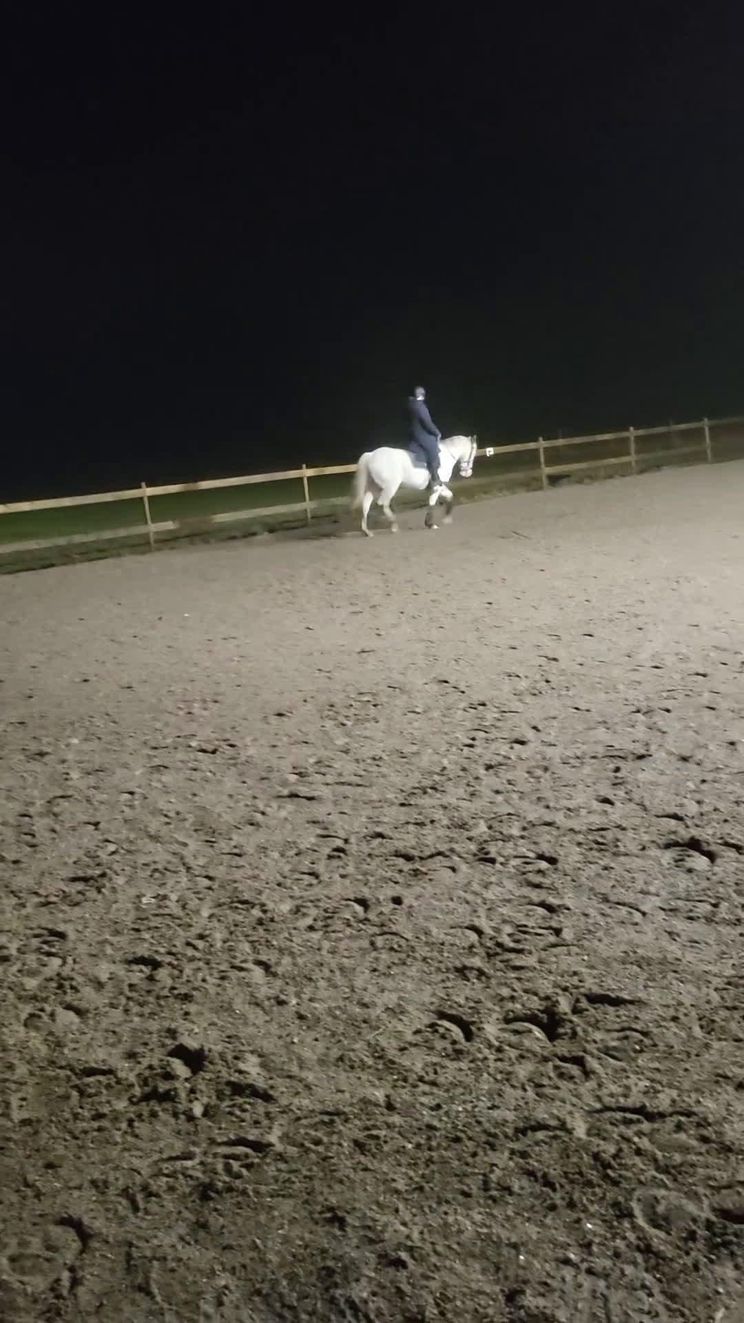 Allround hästar till salu: Vår fina Milou letar ny bästa kompis i Nyköping - Video 2