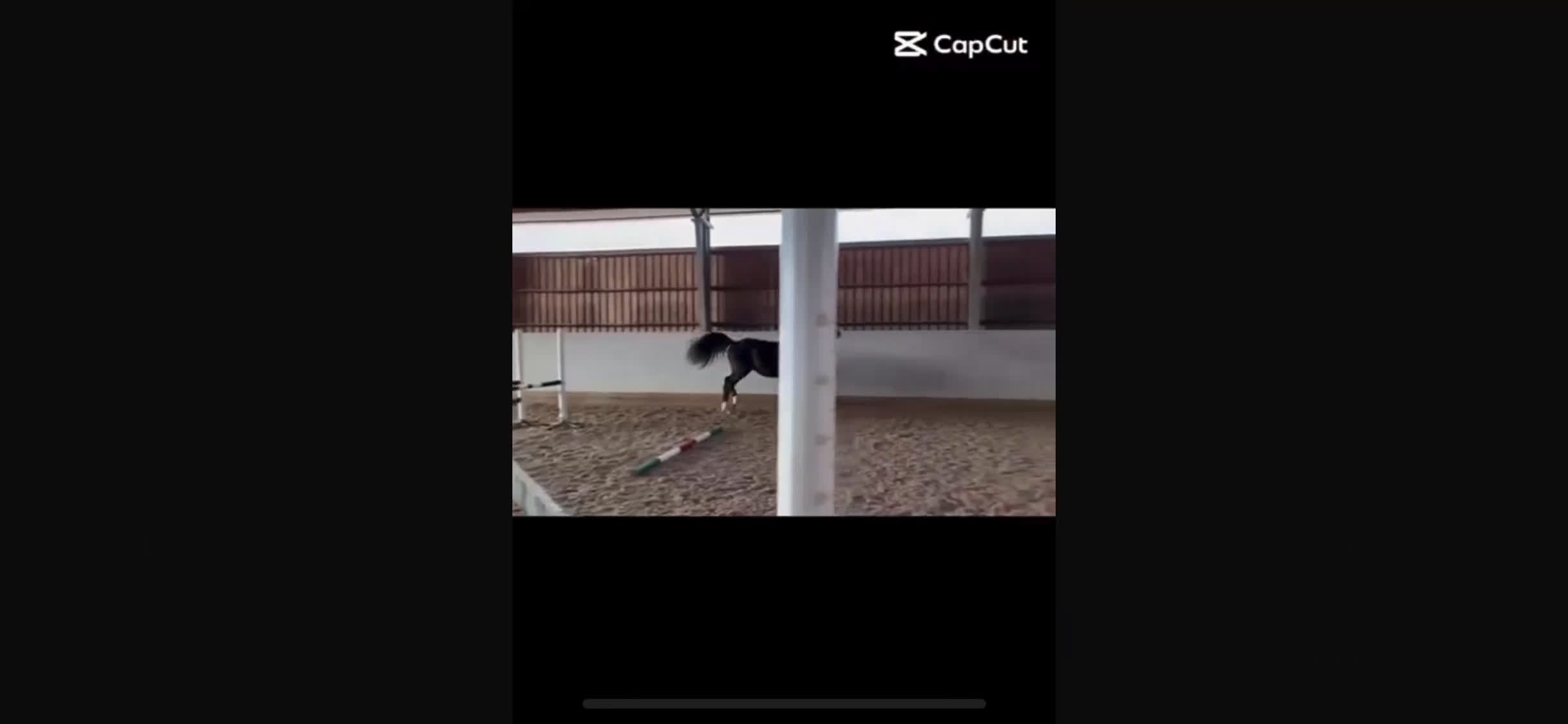 Hoppning hästar till salu: Snygg hopphäst med mkt prestation  i Hjo - Video 1