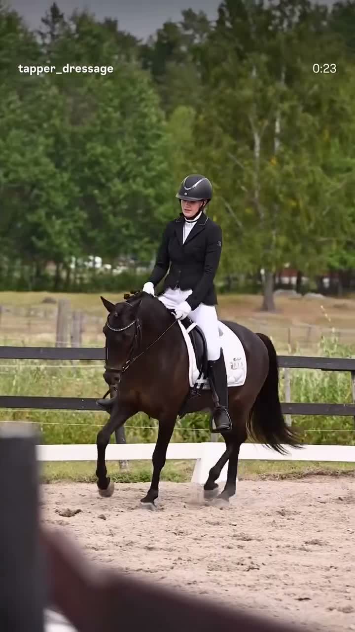 Dressyr hästar till salu: Dancing Taycan f. 2021 (C-ponny)  - Video 1