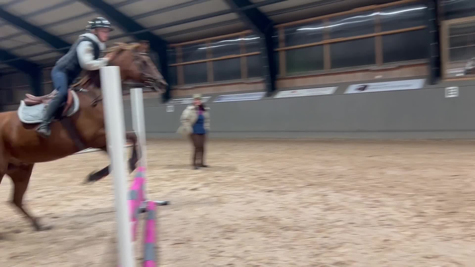 Allround hästar till salu: Halvblod/Arab säljes alt bytes.  i Köpingsvik - Video 3