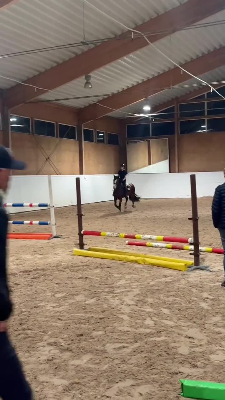 Fälttävlan hästar till salu: D-ponny med mycket potential  - Video 1