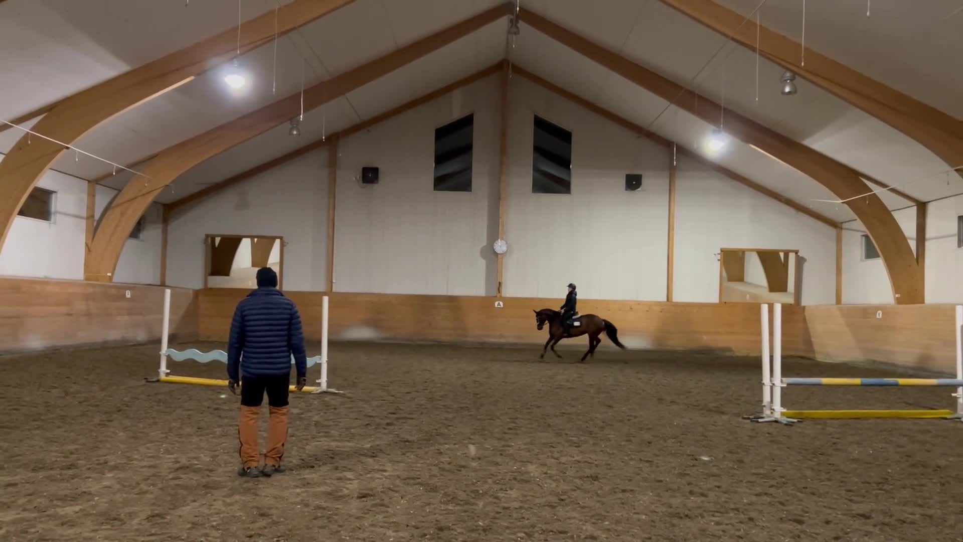 Allround hästar till salu: Sportig ponny säljes - Video 4