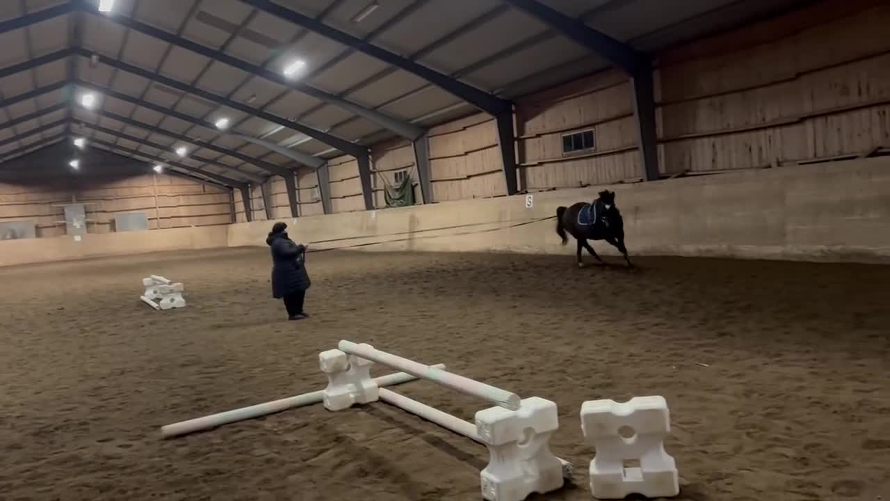  hästjobb finnes: 🐴 Söker jobb i stall 🐴 i Hållsta - Video 1