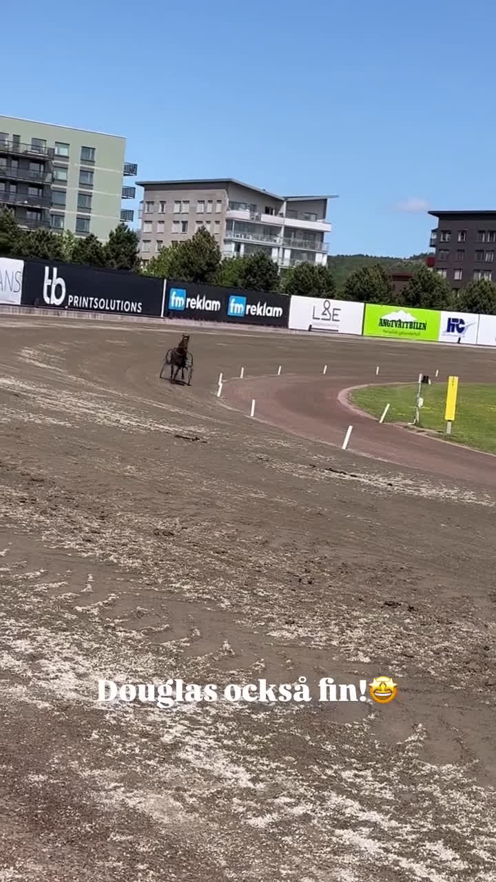 Allround hästar till salu: Fin travhäst!  - Video 2