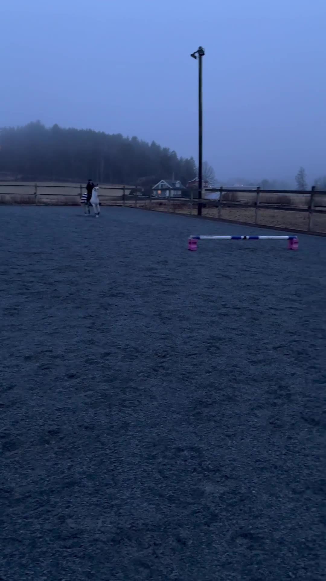 Hoppning hästar till salu: Breeze söker sitt nya hem - Video 4
