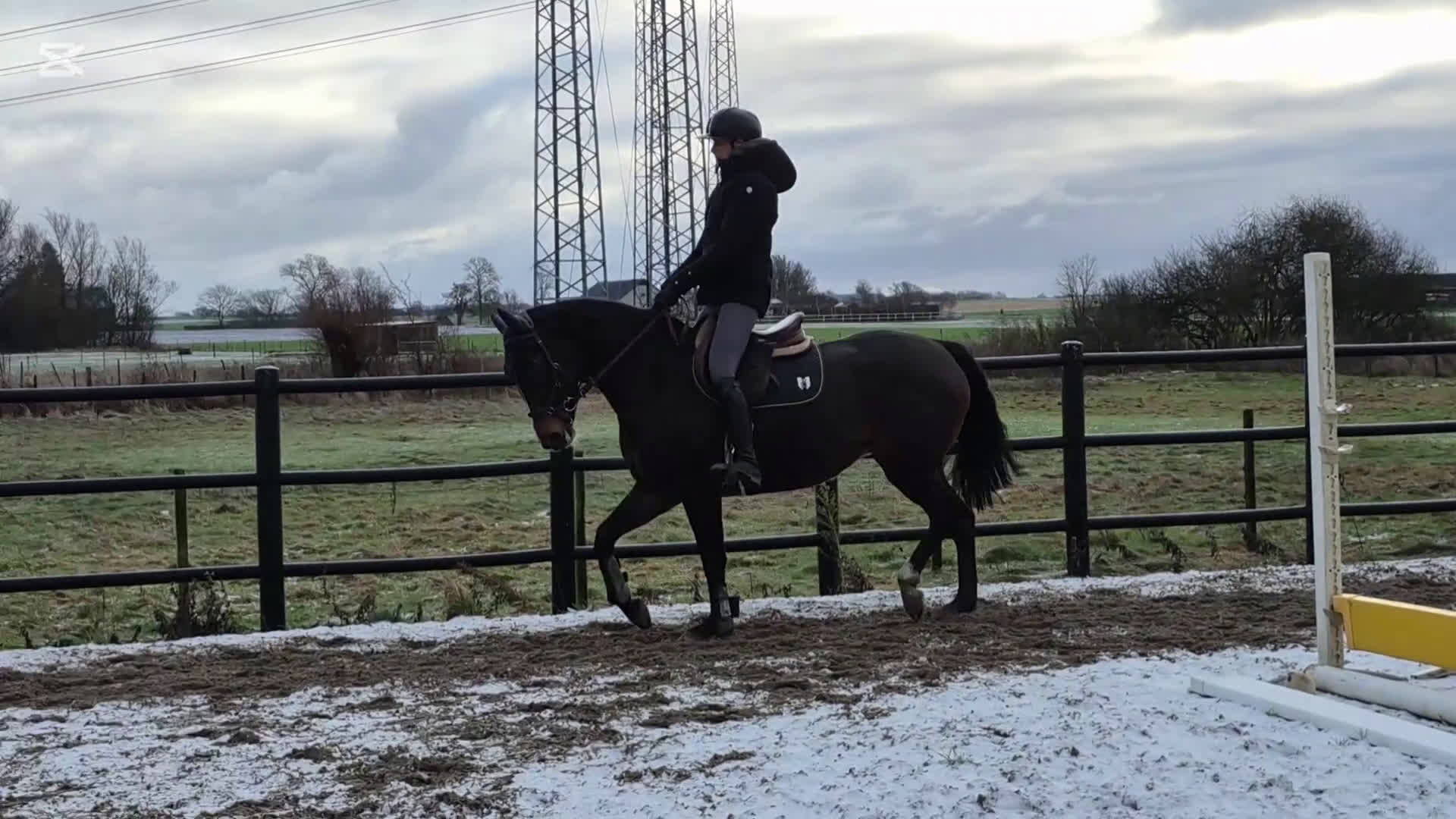 Hoppning hästar till salu: 🎀 Utvecklingsbart 6års sto ev byte - Video 1