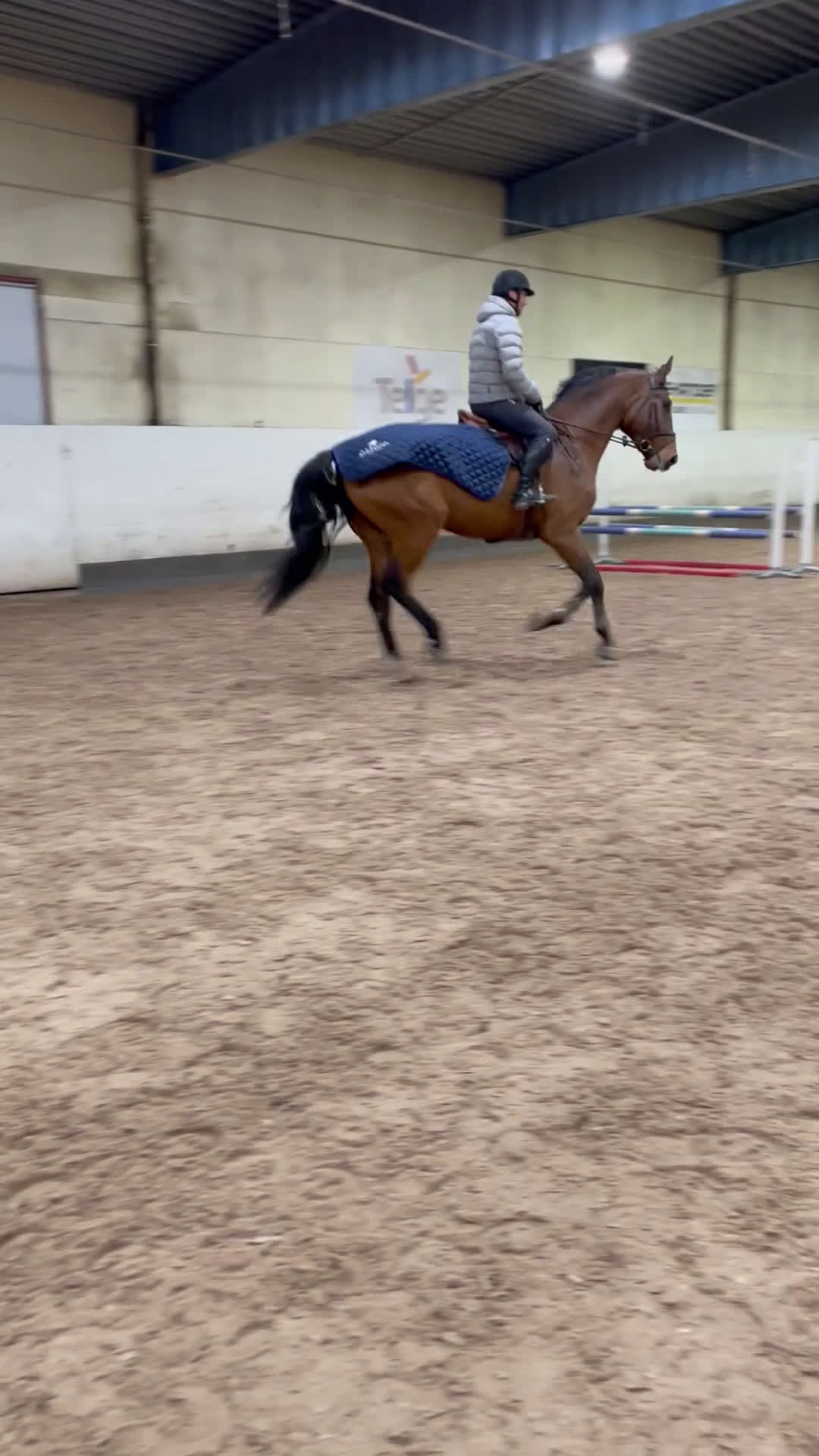 Hoppning hästar till salu: Cool valack med kraftfullt språng i Strängnäs - Video 3