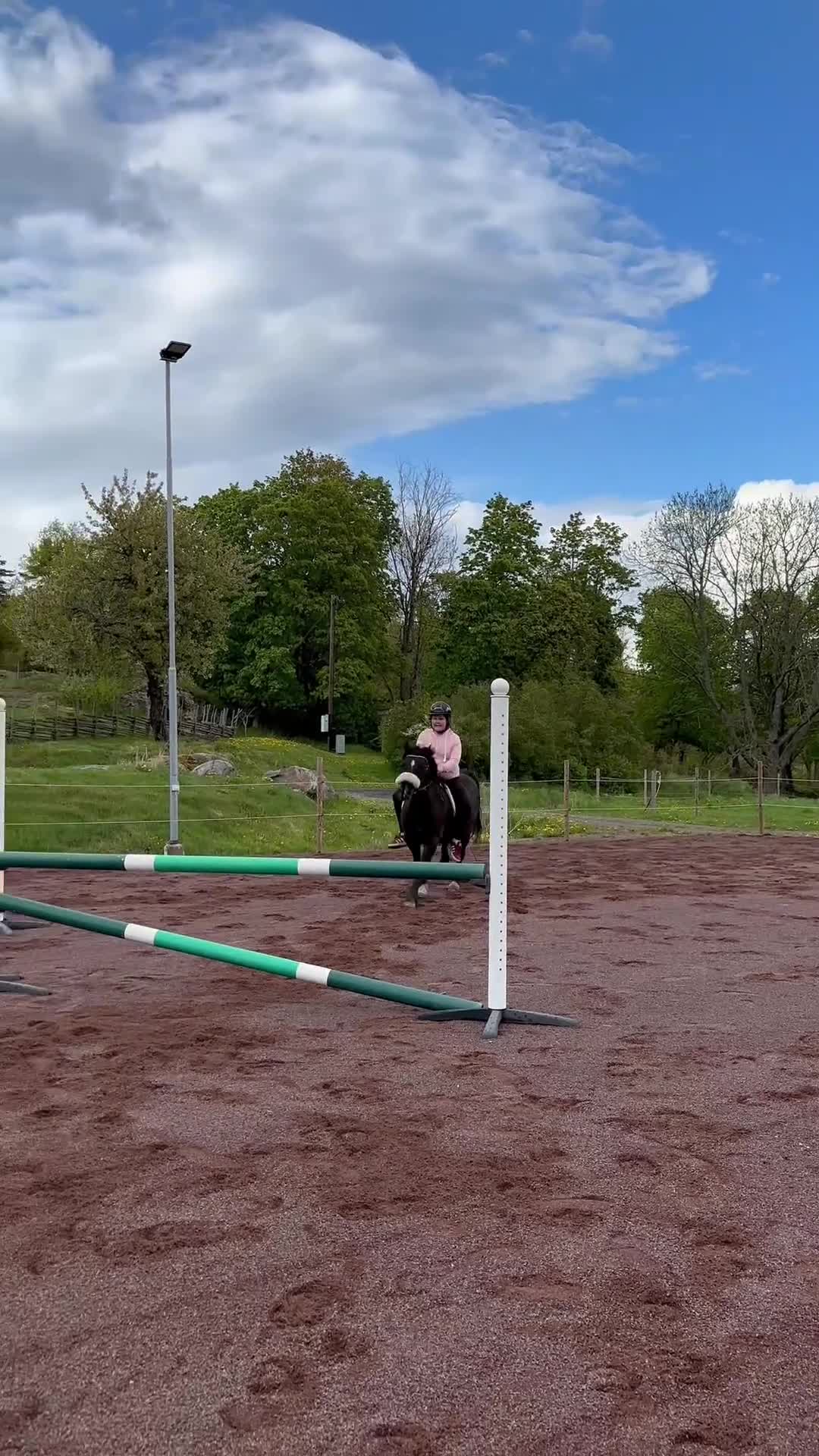 Allround hästar till salu: Trygg allroundponny söker sin nya bästa vän i Huskvarna - Video 3