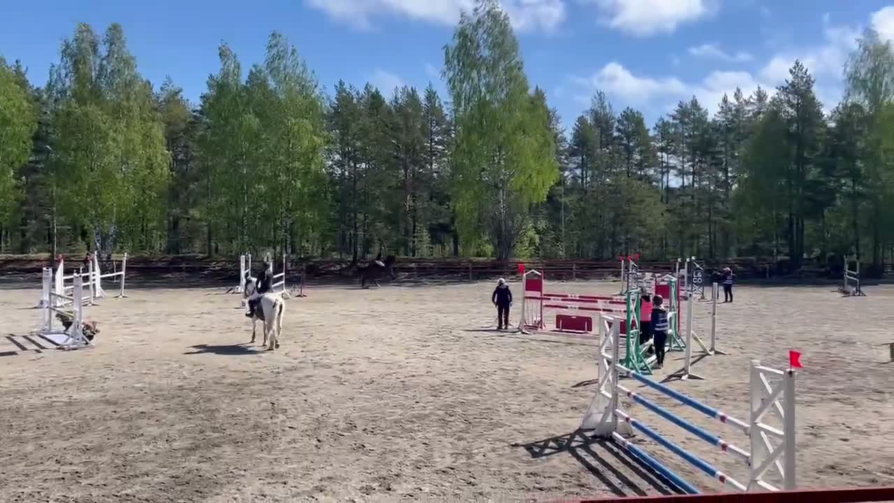 Hoppning hästar till salu: Sportig hopponny! 🌟 - Video 2