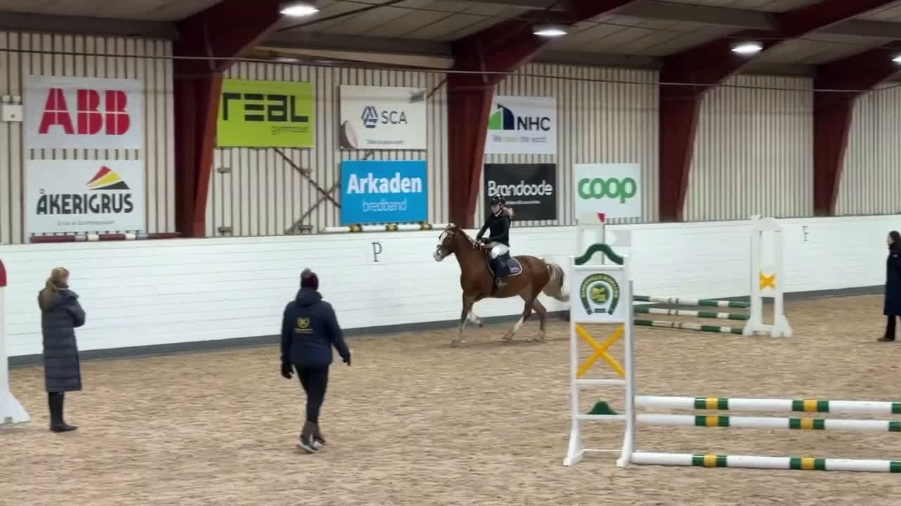 Allround hästar sökes: ⚠️MEDRYTTARHÄST/FÖDERHÄST SÖKES I SUNDSVALL⚠️ i Sundsvall - Video 3