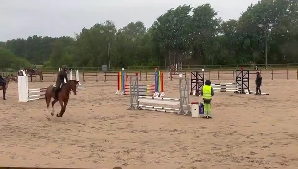 Allround hästar till salu: Underbar 7årig valack säljes ♥️ i Säve - Video 1