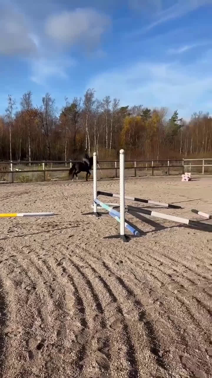 Allround hästar till salu: Trevligt och formbart 3-årigt sto i Uddevalla - Video 1