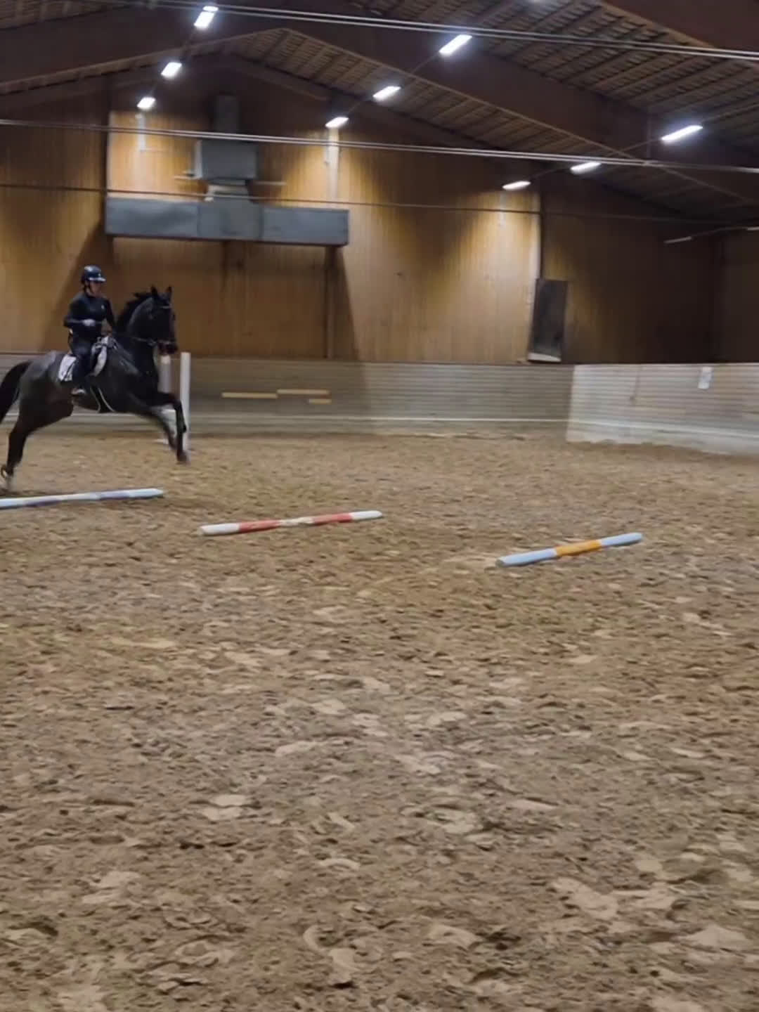 Allround hästar till salu: Superfin valack - Video 1