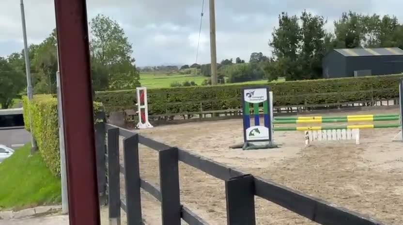 Hoppning hästar till salu: Ljuvlig D ponny 🌟 - Video 1