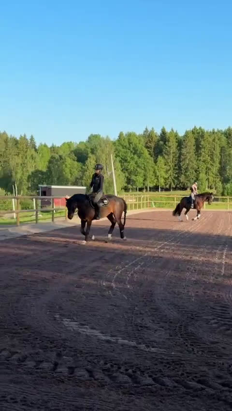 Fälttävlan hästar till salu: SM-placerad, meriterad Fälttävlansponny i Örsundsbro - Video 4